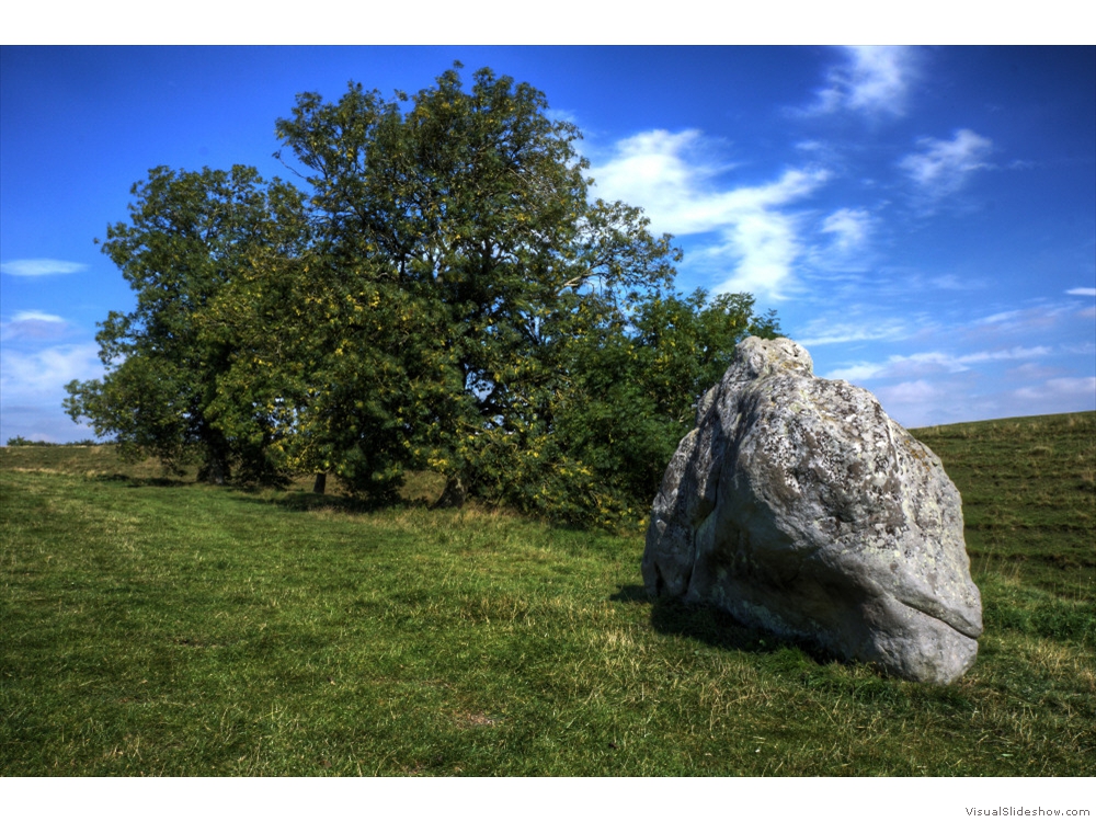 Timeless Rock and Tree