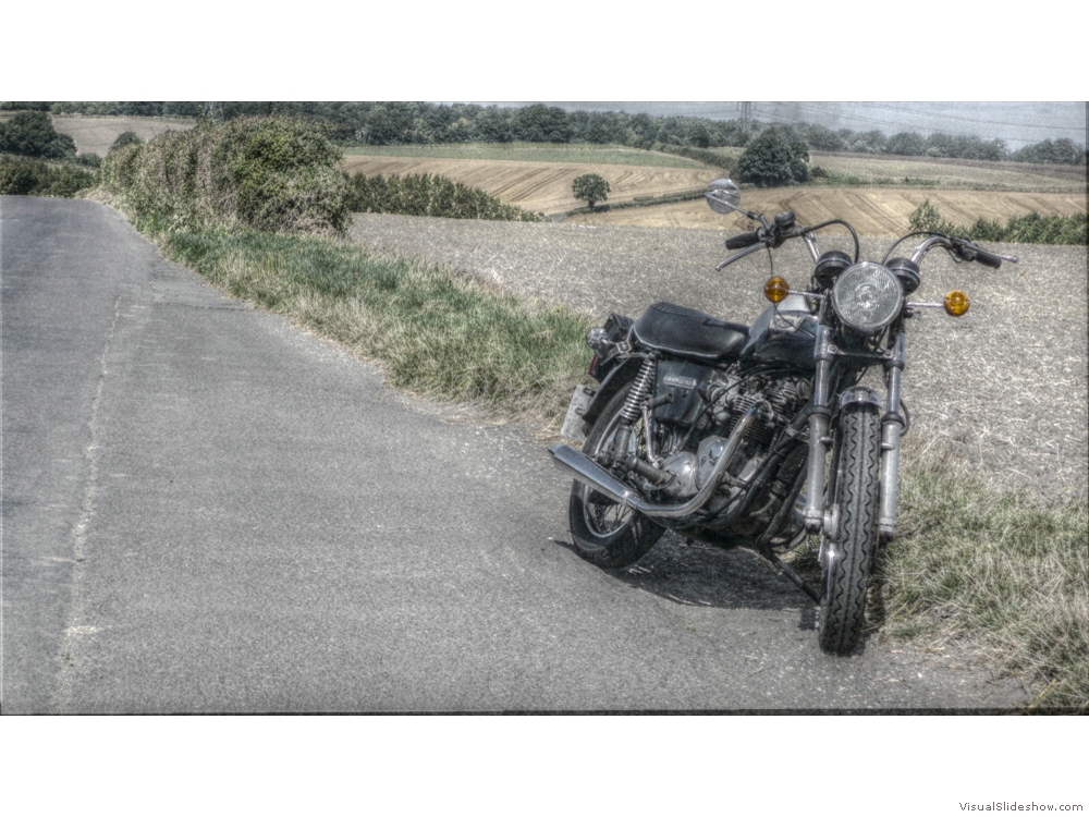 Bonny on a Road in Hampshire