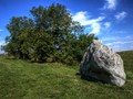 Timeless Rock and Tree